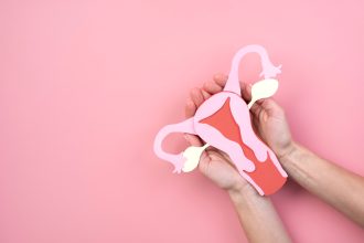 female reproductive system parts and functions