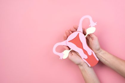 female reproductive system parts and functions